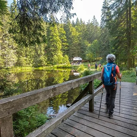 Nr 6, Typ A, Jaegerpark, Bayerischer Wald Dom wakacyjny Viechtach