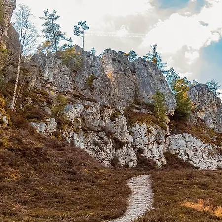 Dom wakacyjny Nr 6, Typ A, Jaegerpark, Bayerischer Wald