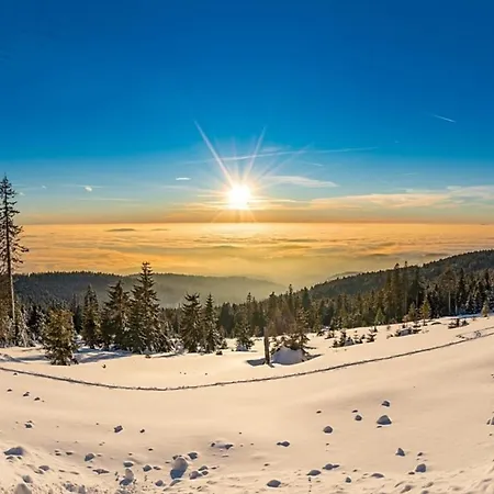 Nr 6, Typ A, Jaegerpark, Bayerischer Wald Dom wakacyjny Viechtach