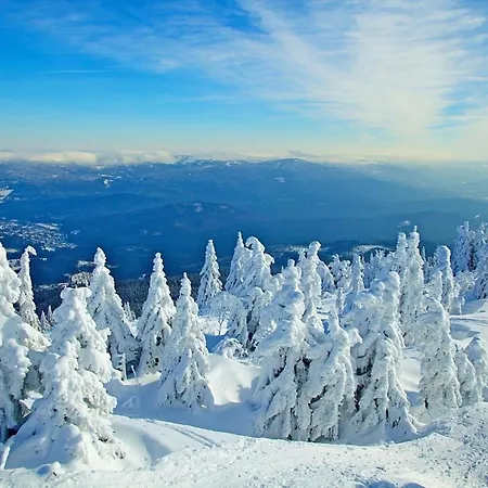 Nr 6, Typ A, Jaegerpark, Bayerischer Wald *