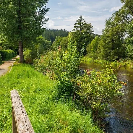 Nr 6, Typ A, Jaegerpark, Bayerischer Wald Сasa de vacaciones