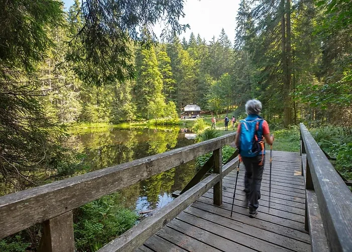 Nr 6, Typ A, Jaegerpark, Bayerischer Wald Feriehus Viechtach