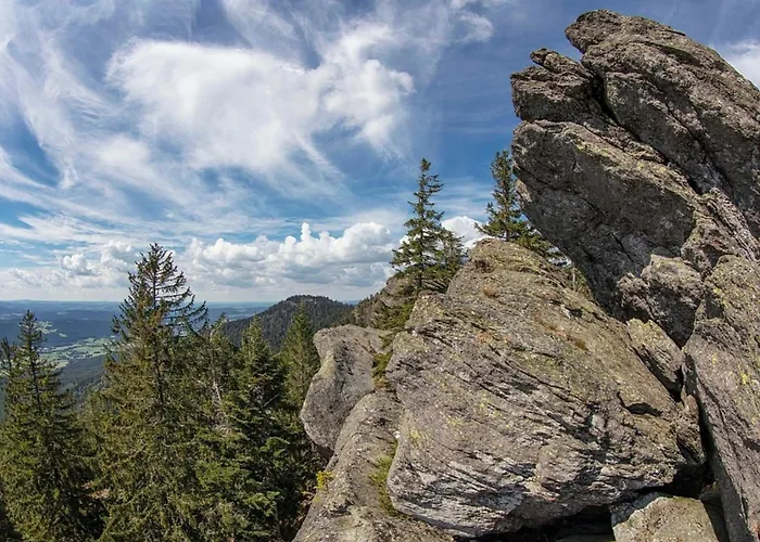 Nr 6, Typ A, Jaegerpark, Bayerischer Wald * Viechtach