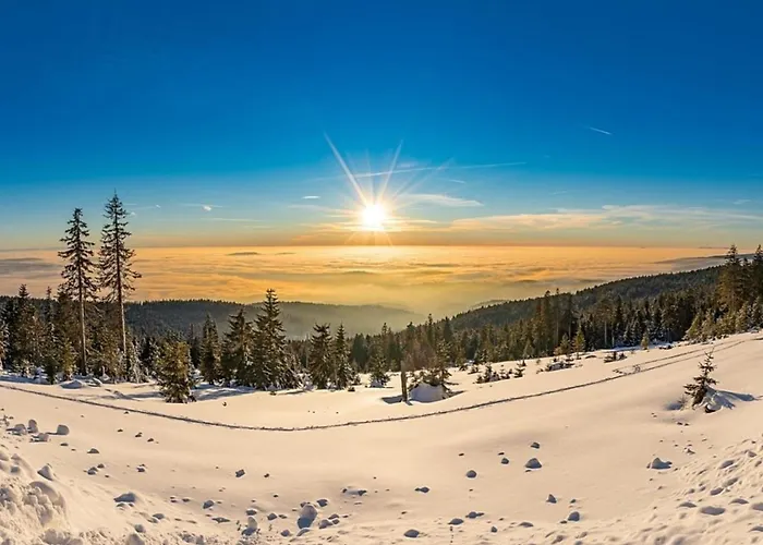 Nr 6, Typ A, Jaegerpark, Bayerischer Wald Feriehus Viechtach